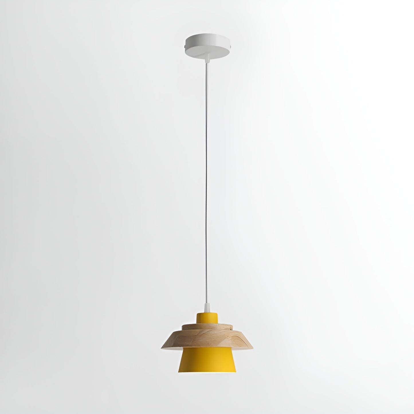 Modern Wood Ceiling Light Fixture