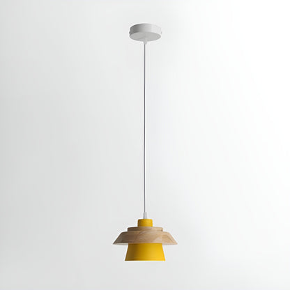 Modern Wood Ceiling Light Fixture