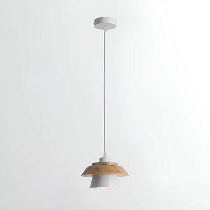 Modern Wood Ceiling Light Fixture