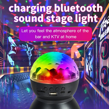 Colorful LED Sound Ball Lamps with RGB Lights