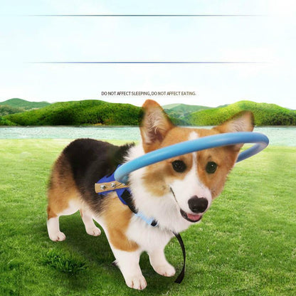 Comfortable Assist Harness for Blind Dog Support