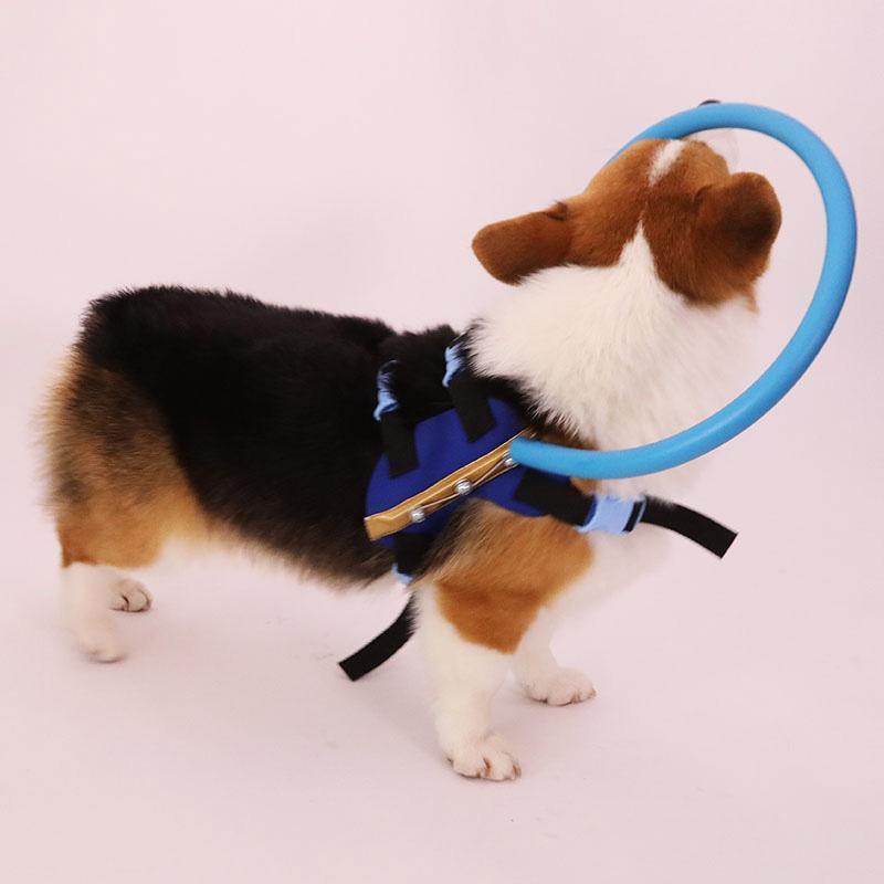 Comfortable Assist Harness for Blind Dog Support