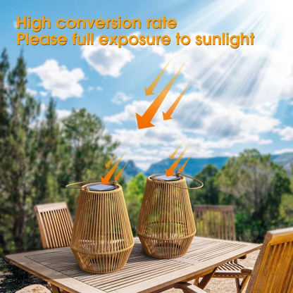 Outdoor Solar Powered Waterproof Garden Light
