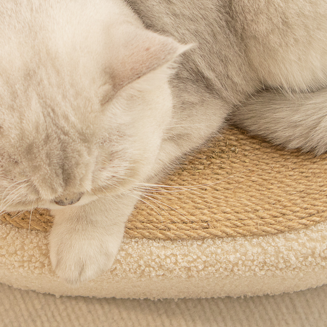 Natural Fiber Cat Scratching Bed