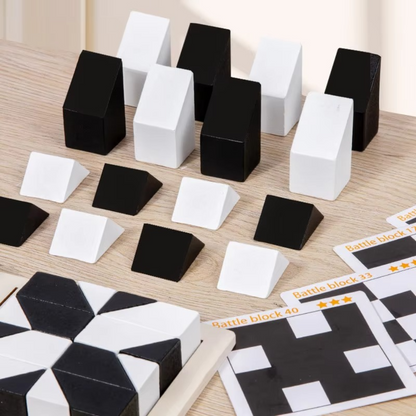 Compact 2-Tone Brain Teaser Puzzle Game - Halri