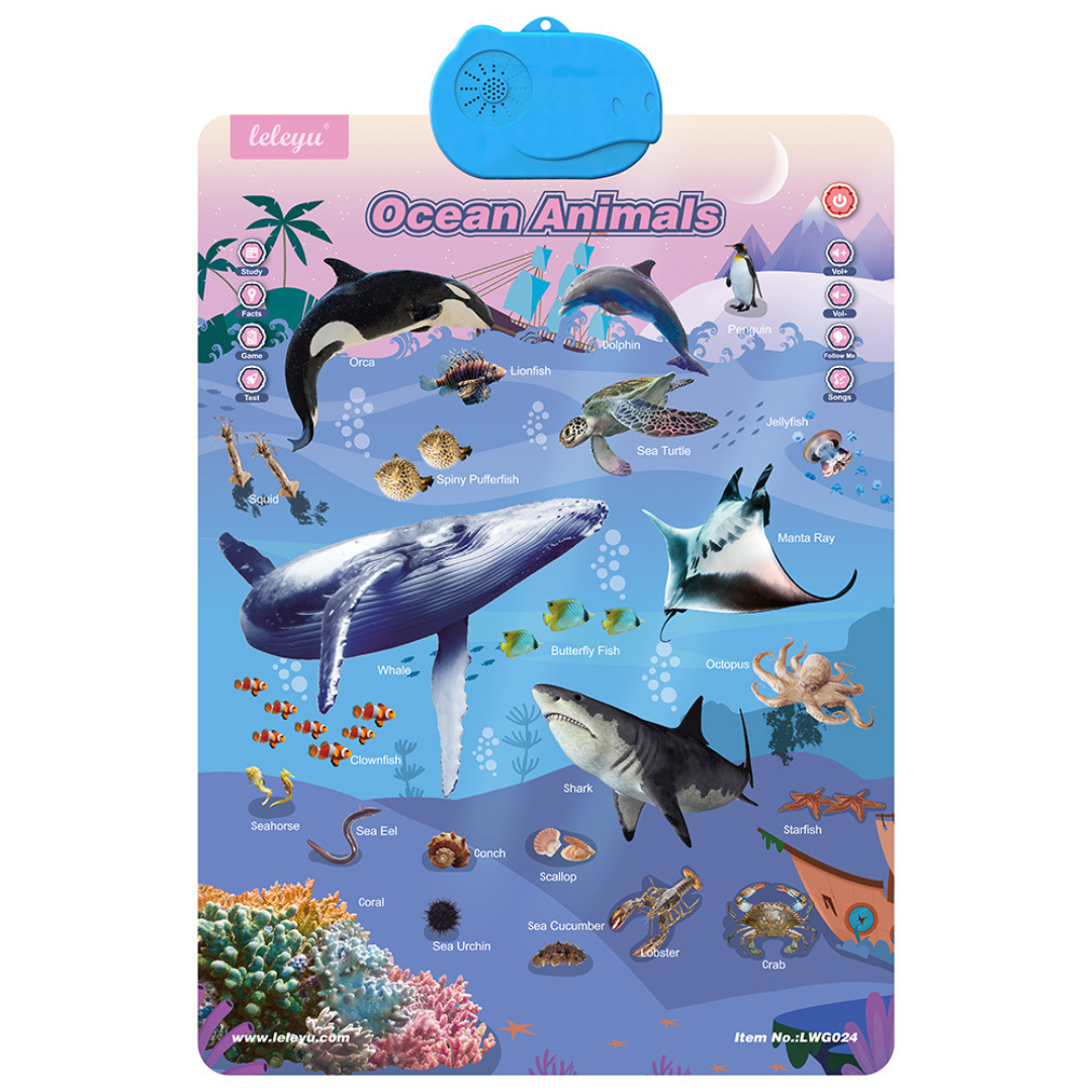 Fun Interactive Kids English Learning Board