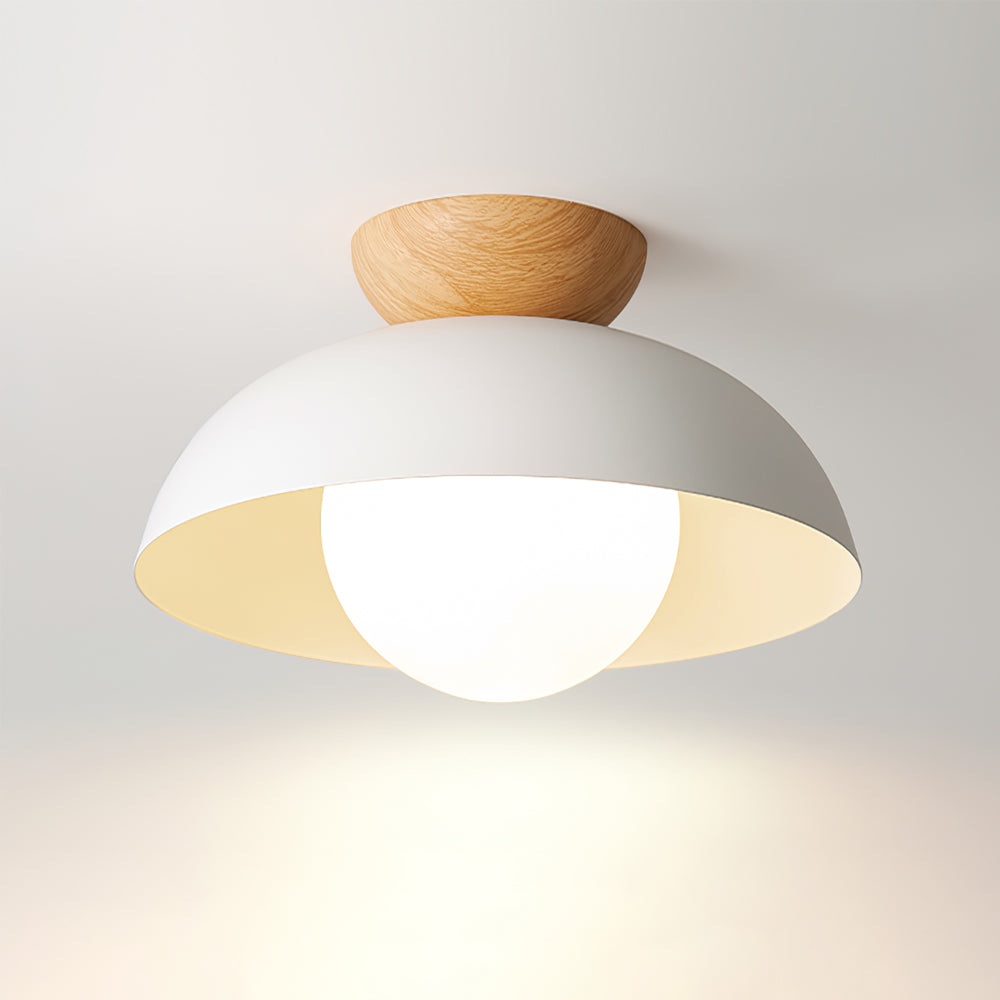 Sleek Ceiling Light Fixture
