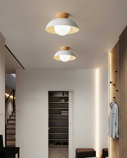 Sleek Ceiling Light Fixture