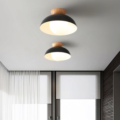 Sleek Ceiling Light Fixture