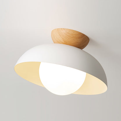 Sleek Ceiling Light Fixture