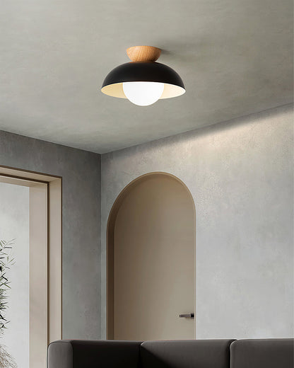 Sleek Ceiling Light Fixture
