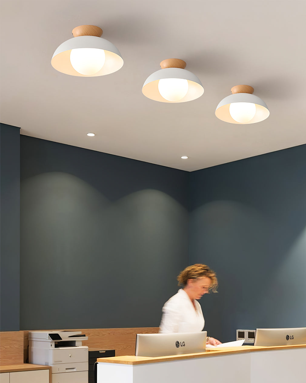 Sleek Ceiling Light Fixture