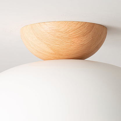 Sleek Ceiling Light Fixture