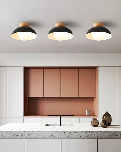 Sleek Ceiling Light Fixture