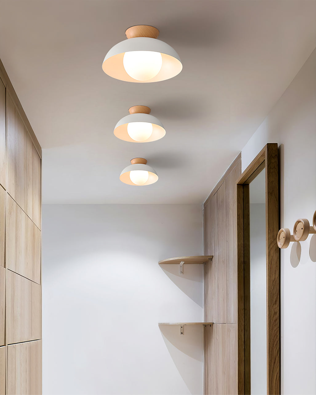 Sleek Ceiling Light Fixture