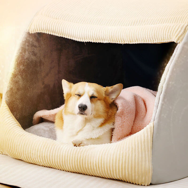 Soft Pet Dog Bed for Warm Comfort