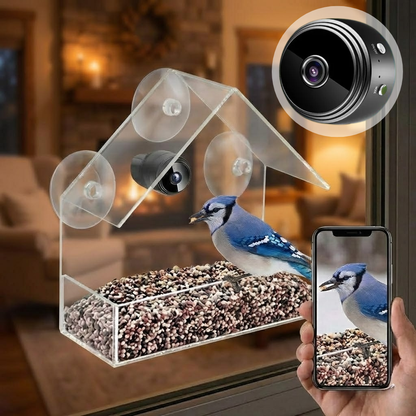 Clear Window Bird Feeder with Camera Mount