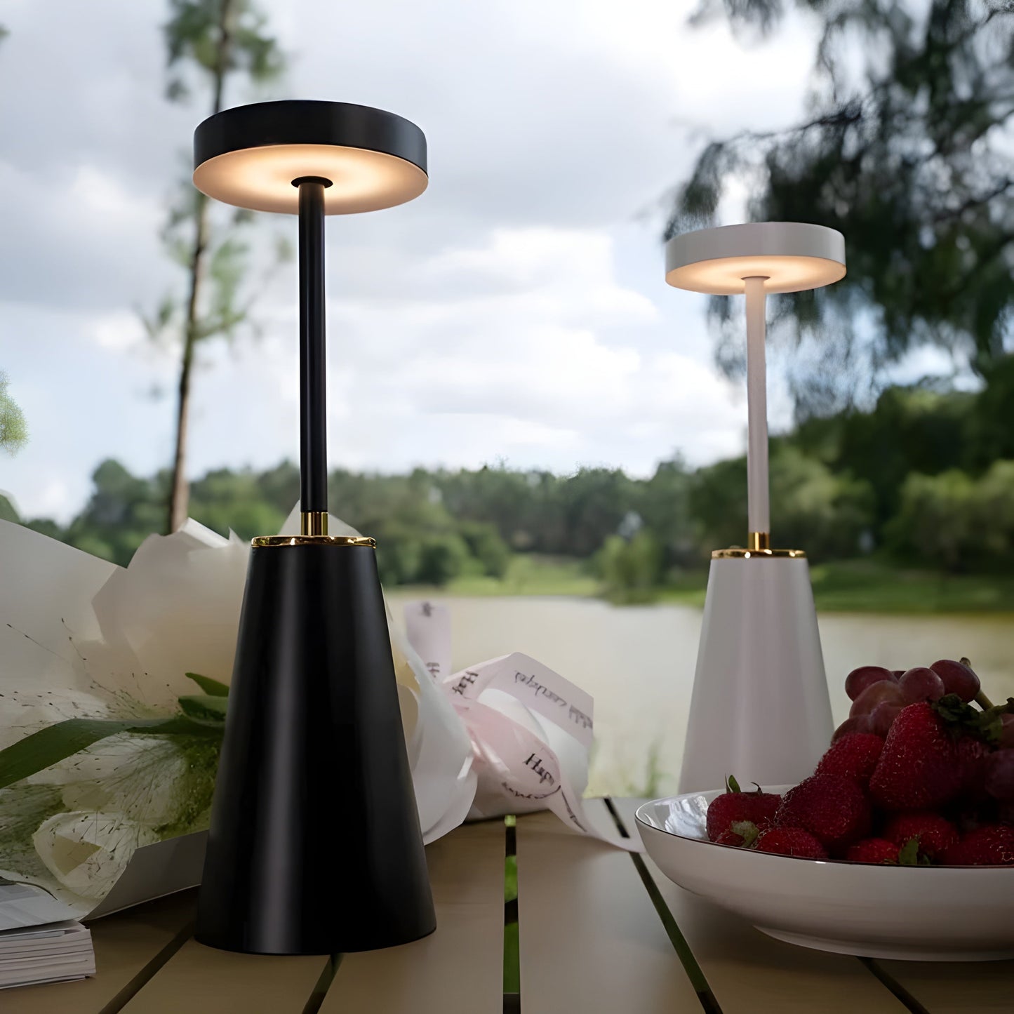 Portable Rechargeable Desk Lamp with Dimmer - Halri