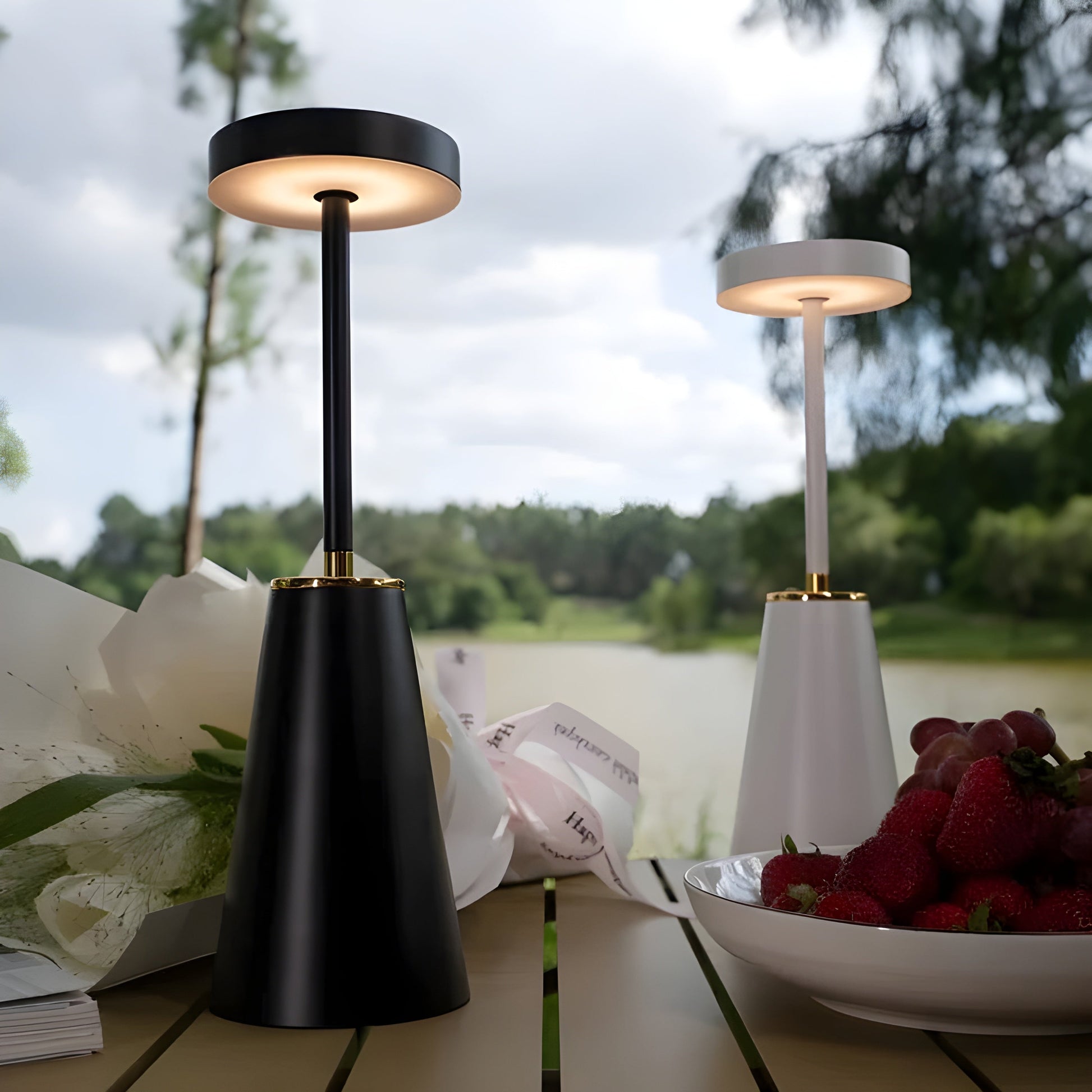 Portable Rechargeable Desk Lamp with Dimmer - Halri