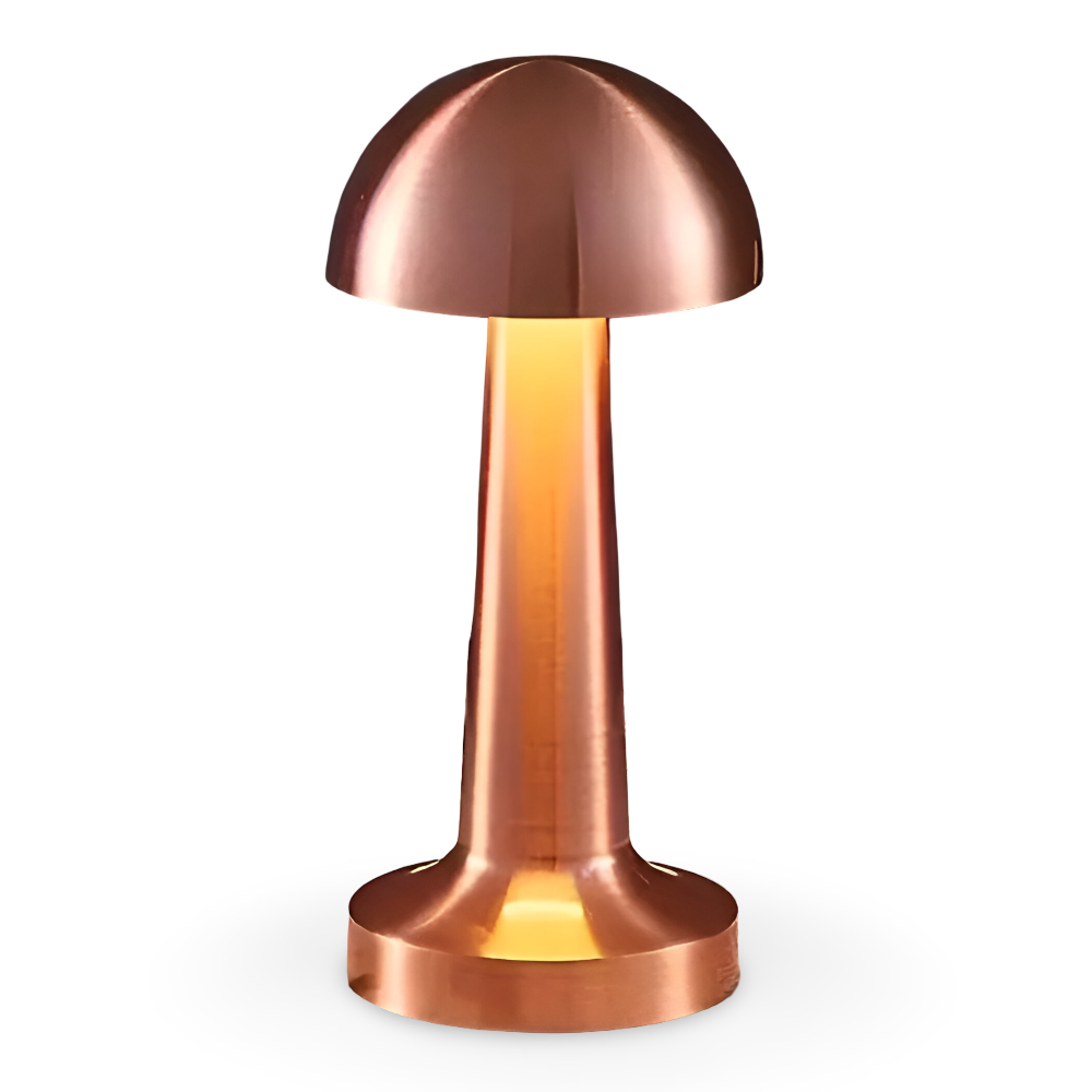 Portable Vintage Desk Light - Halri