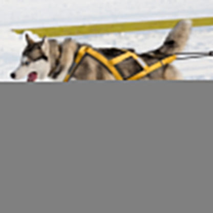 Strong Back Dog Pulling Harness for Sled Sports - Halri