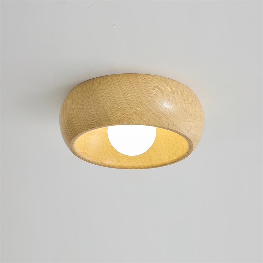 Simple Stylish Overhead Lamp