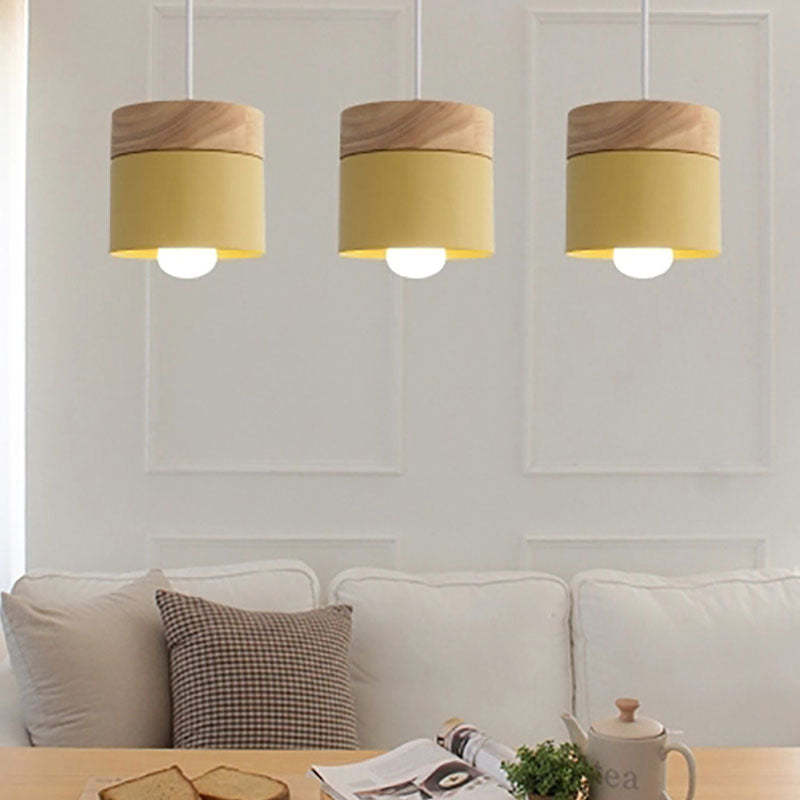 Stylish Modern Glass Pendant Lamp - Halri