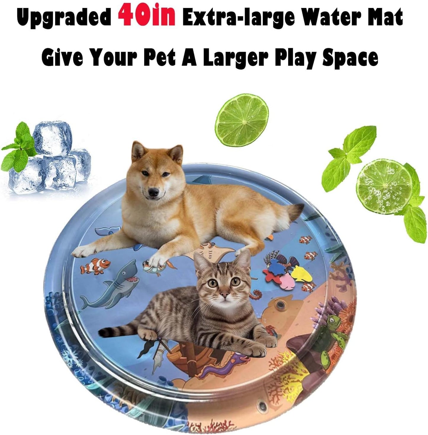 Fun Interactive Cat Toy - Halri