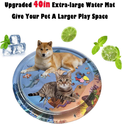 Fun Interactive Cat Toy - Halri