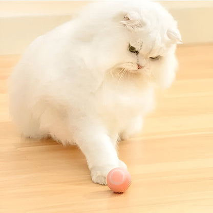 Interactive Dual Action Cat Hunting Toy