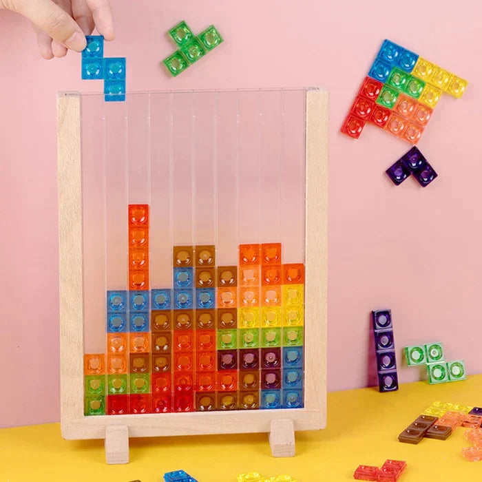 Building Block Brain Teaser Toy