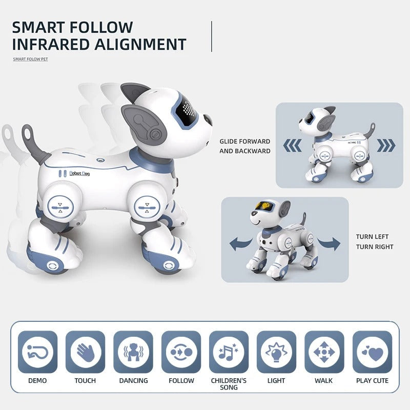 Fun Interactive Pet Toy