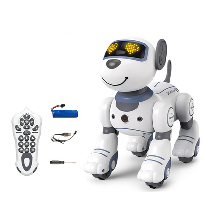 Fun Interactive Pet Toy - Halri