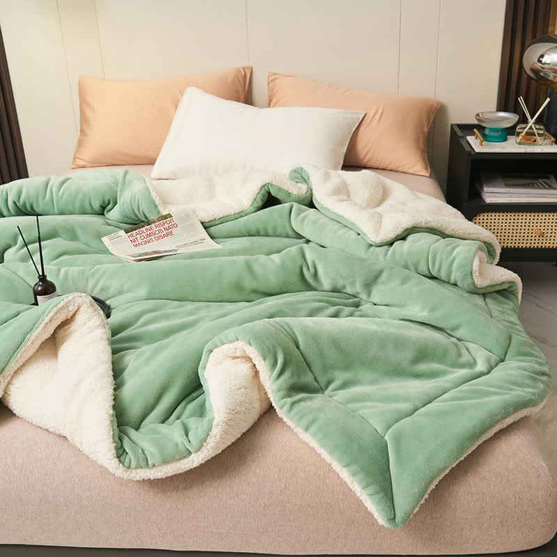 Plush Reversible Shaggy Area Rug