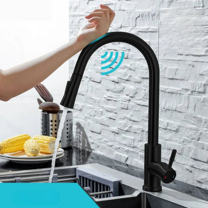 Touchless Automatic Kitchen Faucet with Pull Out Spray - Halri