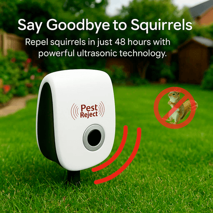 Effective Outdoor Squirrel Deterrent