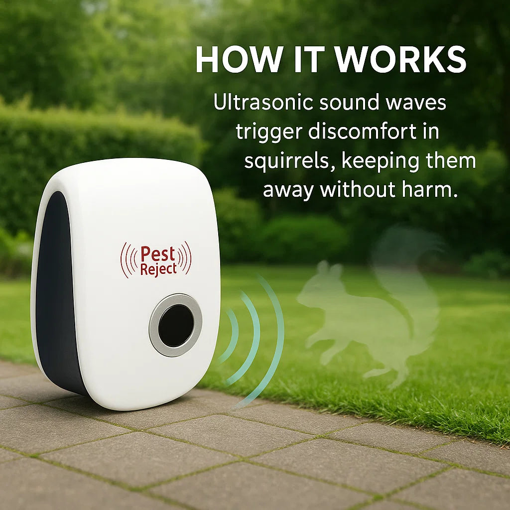 Effective Outdoor Squirrel Deterrent