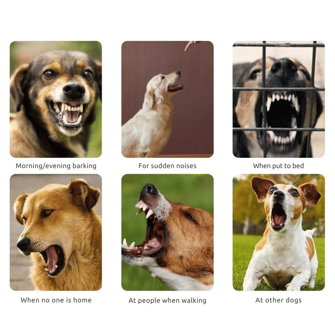 Effective Anti Bark Dog Collar with Sound Vibration Control
