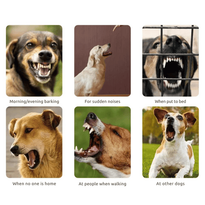 Effective Anti Bark Dog Collar with Sound Vibration Control