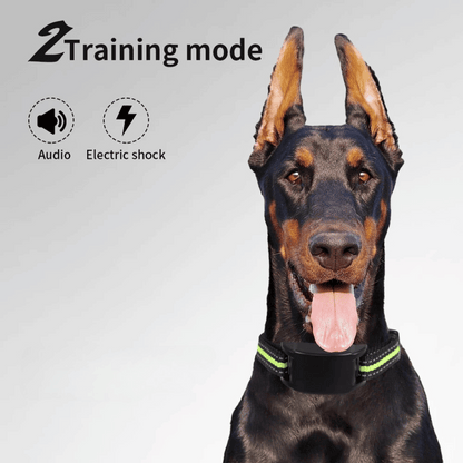Effective Anti Bark Dog Collar with Sound Vibration Control