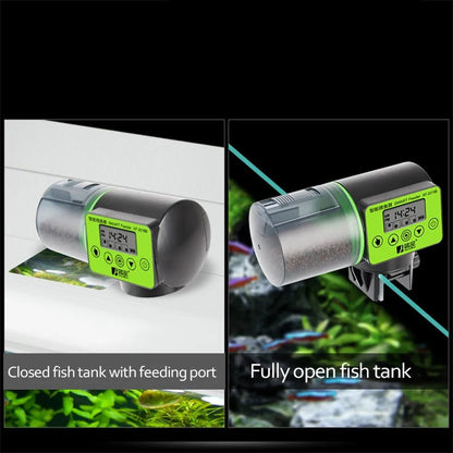 Easy Fish Food Dispenser with Digital Timer