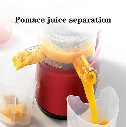 Easy Fruit and Veggie Juice Extractor