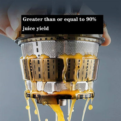 Easy Fruit and Veggie Juice Extractor