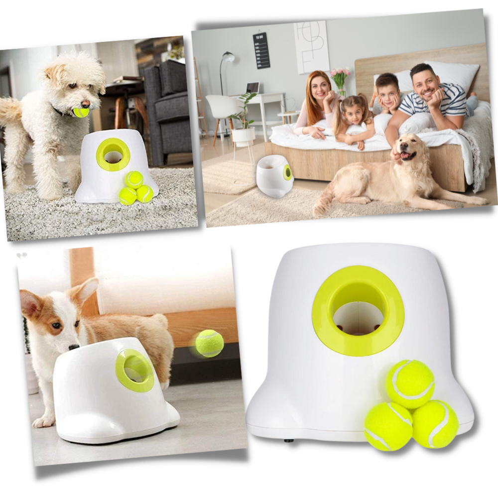 Fun Dog Ball Launcher Toy - Automatic Pet Thrower - Halri