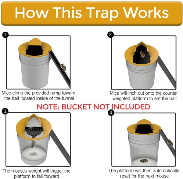 Easy Set Mouse Trap Bucket Lid Catcher