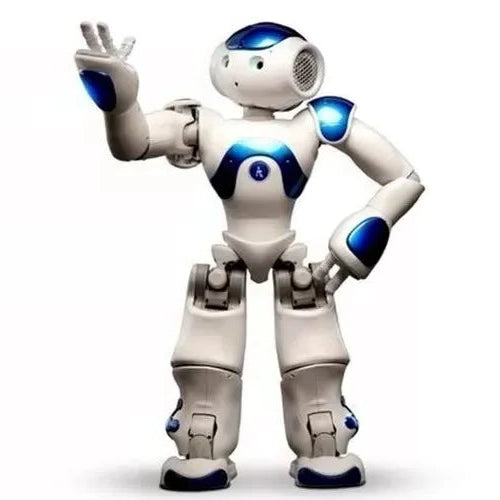 Fun Remote Control Robot Toy - Halri