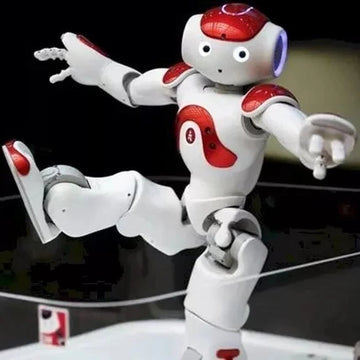 Fun Remote Control Robot Toy