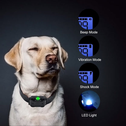 Long Range Remote Dog Training Collar