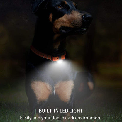 Long Range Remote Dog Training Collar