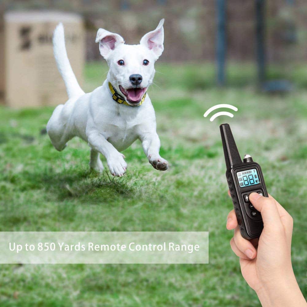 Long Range Remote Dog Training Collar
